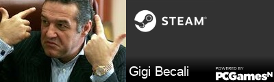 Gigi Becali Steam Signature