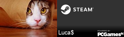 Luca$ Steam Signature