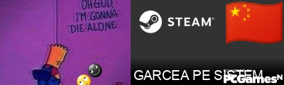 GARCEA PE SISTEM Steam Signature