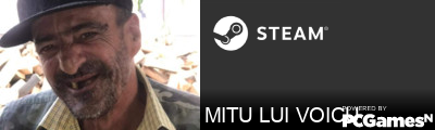 MITU LUI VOICU Steam Signature