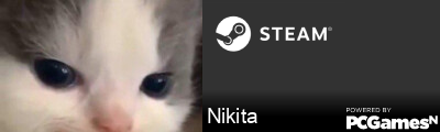 Nikita Steam Signature
