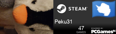 Peku31 Steam Signature