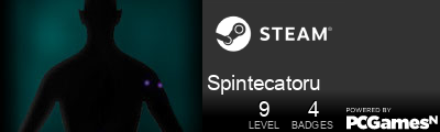 Spintecatoru Steam Signature