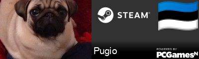 Pugio Steam Signature
