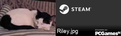 Riley.jpg Steam Signature