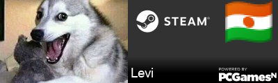 Levi Steam Signature