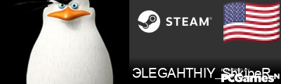 ЭLEGAHTHIY_ShkipeR Steam Signature