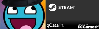 qCatalin. Steam Signature