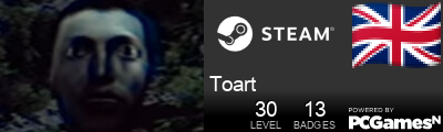 Toart Steam Signature
