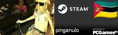 pinganulo Steam Signature