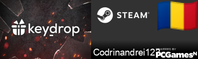 Codrinandrei123 Steam Signature