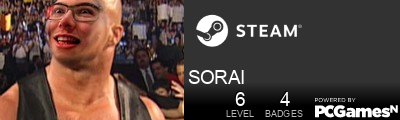 SORAI Steam Signature