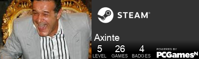 Axinte Steam Signature