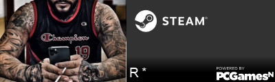 R * Steam Signature