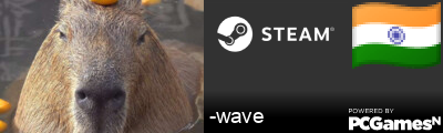 -wave Steam Signature