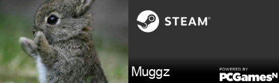 Muggz Steam Signature