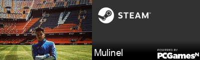 Mulinel Steam Signature