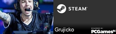 Grujicko Steam Signature