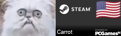 Carrot Steam Signature