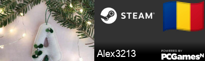 Alex3213 Steam Signature