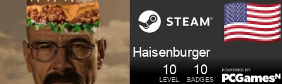Haisenburger Steam Signature