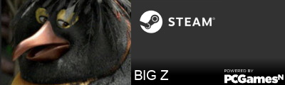 BIG Z Steam Signature