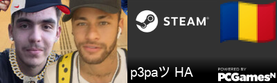 p3paツ HA Steam Signature