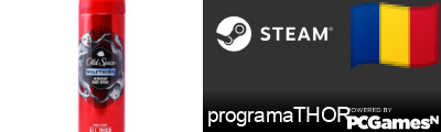 programaTHOR Steam Signature