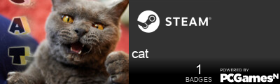 cat Steam Signature