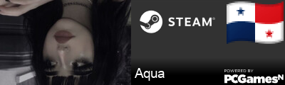 Aqua Steam Signature