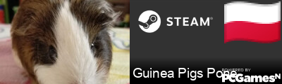Guinea Pigs Pone Steam Signature