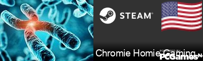 Chromie Homie Gaming YT Steam Signature