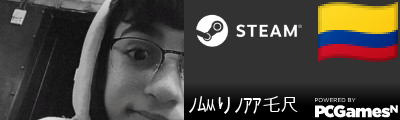 ﾉﾑﾶりﾉｱｱ乇尺 Steam Signature