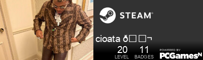 cioata 🚬 Steam Signature