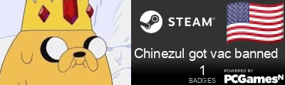 Chinezul got vac banned Steam Signature