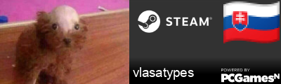 vlasatypes Steam Signature