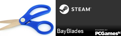 BayBlades Steam Signature