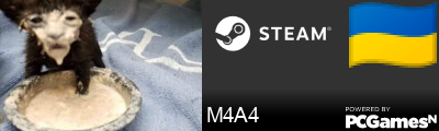 M4A4 Steam Signature