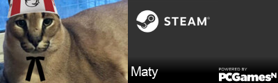 Maty Steam Signature