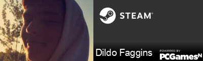 Dildo Faggins Steam Signature