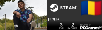 pingu Steam Signature