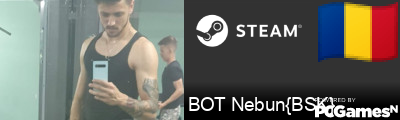 BOT Nebun{BSK} Steam Signature
