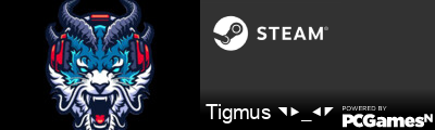 Tigmus ◥▶_◀◤ Steam Signature