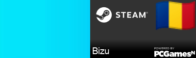 Bizu Steam Signature