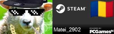 Matei_2902 Steam Signature