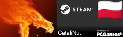 CataliNu. Steam Signature