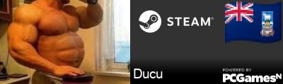 Ducu Steam Signature