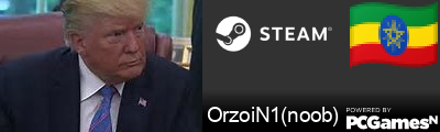 OrzoiN1(noob) Steam Signature