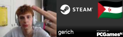 gerich Steam Signature