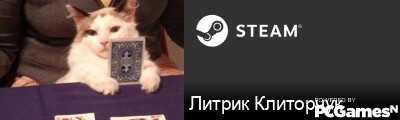 Литрик Клиторчук Steam Signature